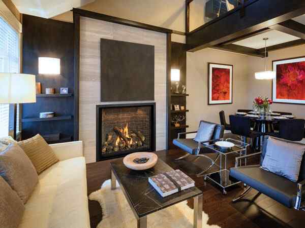 Fireplace Xtrordinair PREMIUM TRADITIONAL GAS FIREPLACES - Image 19